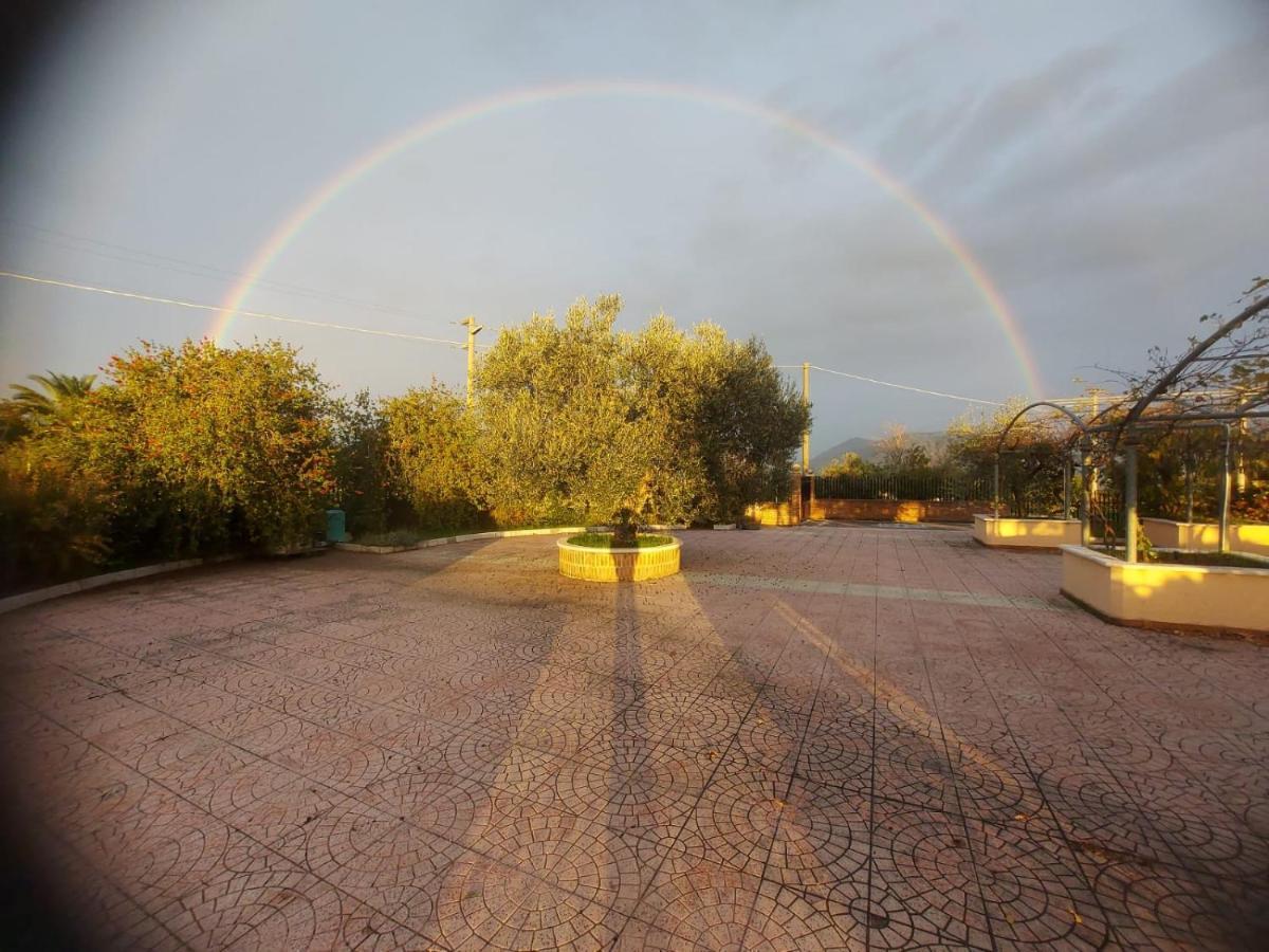 Lisandro Wine Resort Apartments Caserta Castel Campagnano Exterior photo