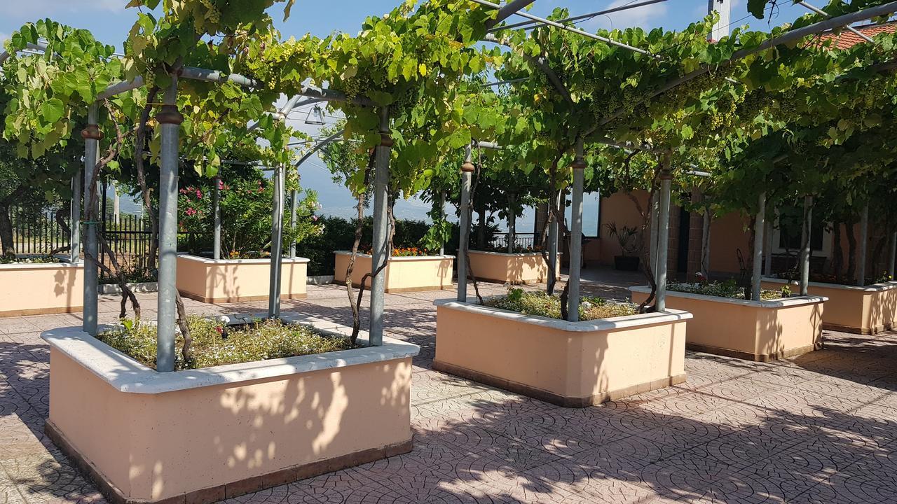 Lisandro Wine Resort Apartments Caserta Castel Campagnano Exterior photo